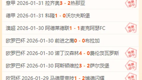 国安与浙江队握手言和 张玉宁梅开二度 弗蘭克与马修斯各进一球
