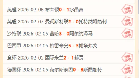 马格德堡对决卡尔斯鲁厄：德乙前瞻及专家质合分析